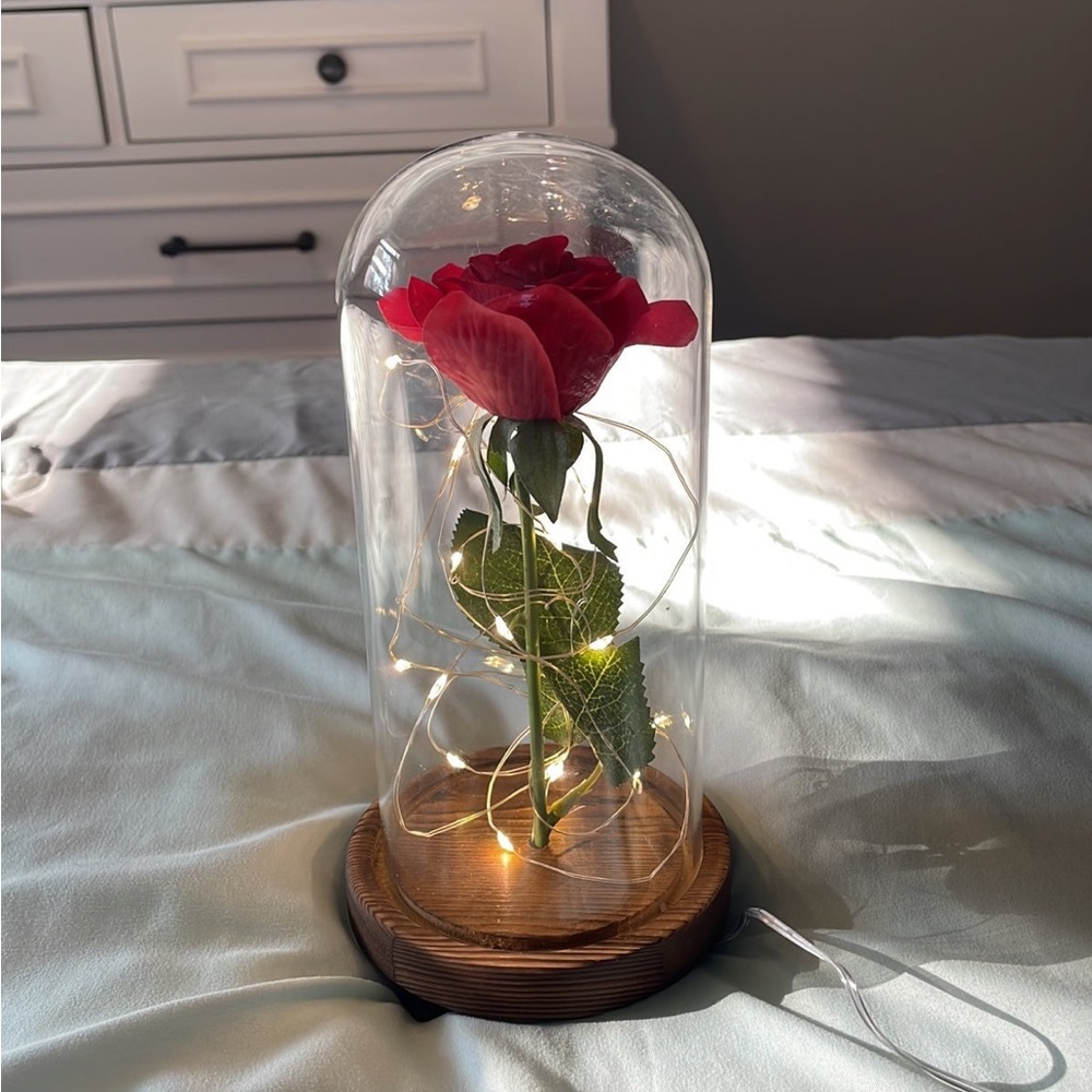 Disney LED rose display